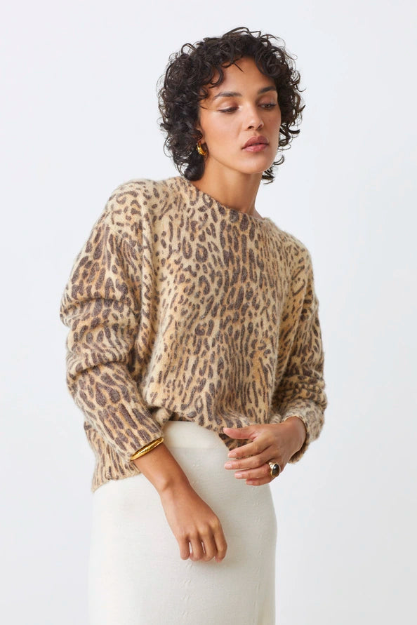 Pull Pleoli