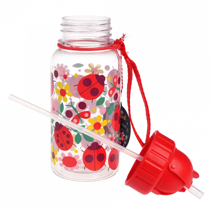 Gourde Ladybird