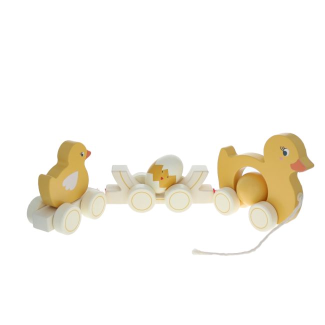 Famille canard à promener en bois