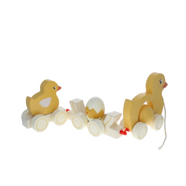 Famille canard à promener en bois