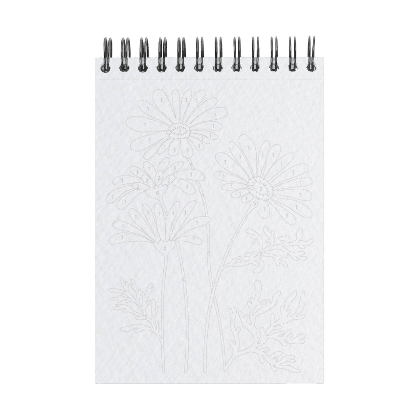 Peinture aux numéros - Fleurs des champs