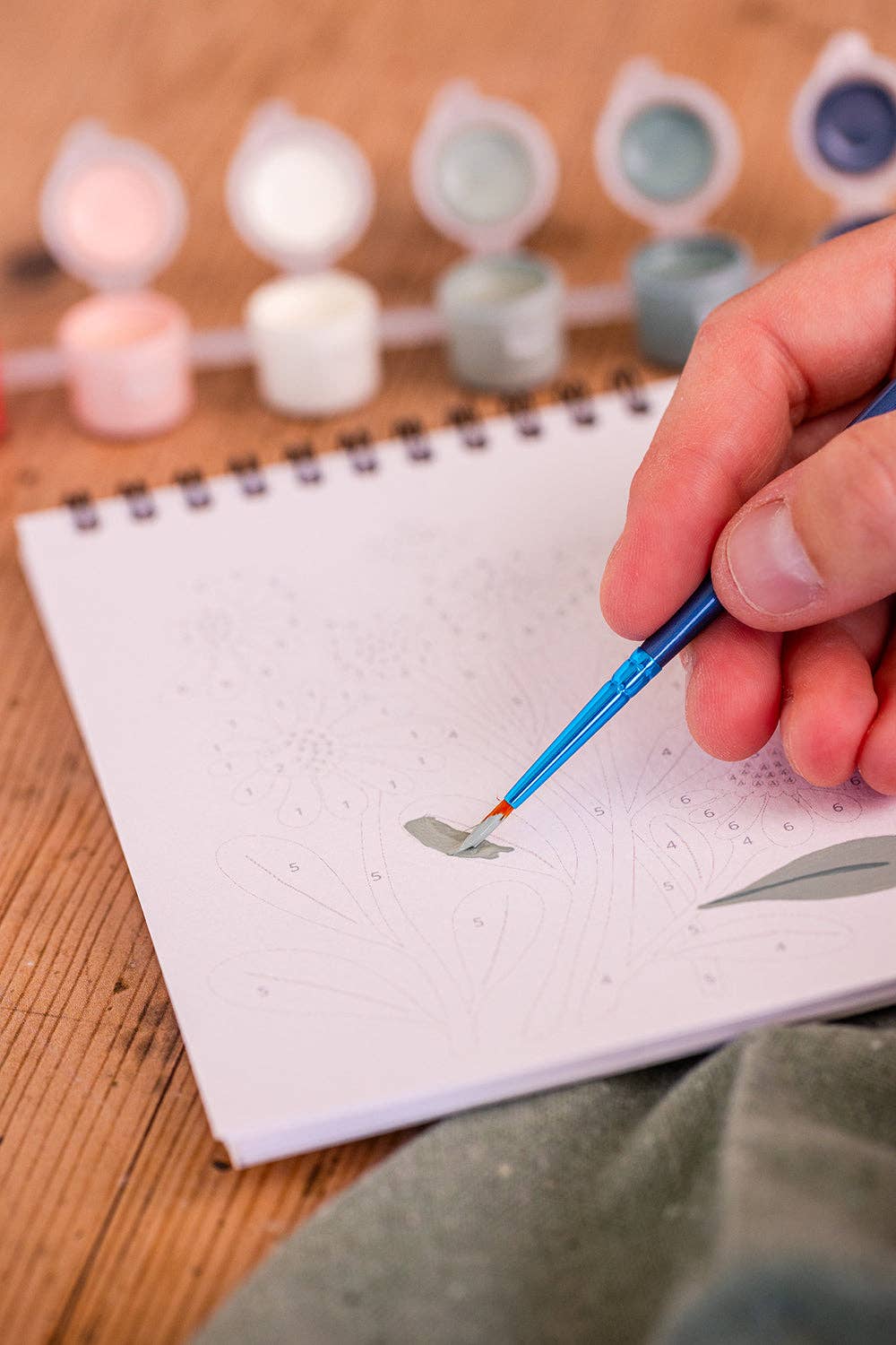 Peinture aux numéros - Fleurs des champs