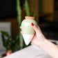 Olla - vert